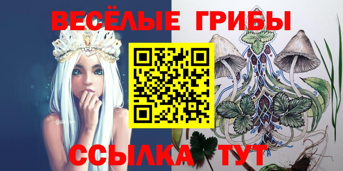 Псилоцибиновые грибы GOLDEN TEACHER Урус-Мартан