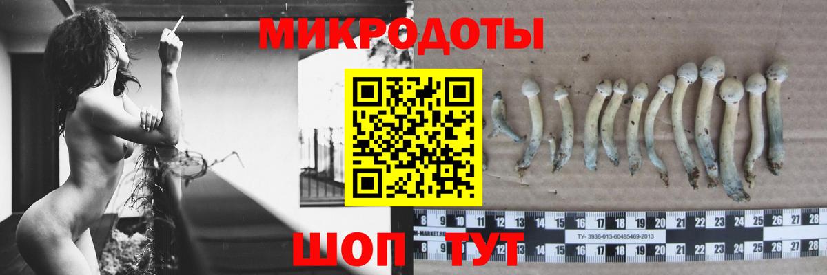 Урус-Мартан  Галлюциногенные грибы Cubensis  Вход с VPN 